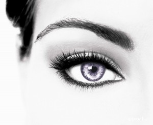 Commercial & Editorial Photography