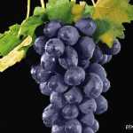 Commercial Food & Beverage Photography